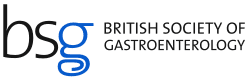 BSG logo